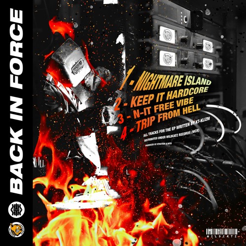 KT-KLIZM - N - IT FREE VIBE