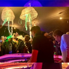 F#ckbeetl at Space Cowboys - Wed 1 May midnight - AfrikaBurn 2024