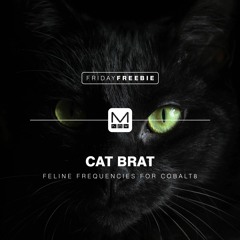 Cat Brat for COBALT8
