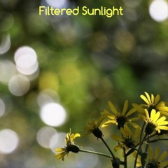 Filtered Sunlight
