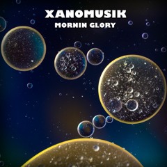 Mornin Glory