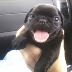 squidrific @sosa. @shiminzah