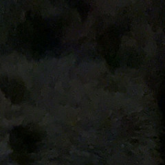 lil uzi- cant let go