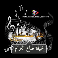 اغاني استكنان| شيلة ضاع الغرام|بطيئ|لون مميز 2022.mp3
