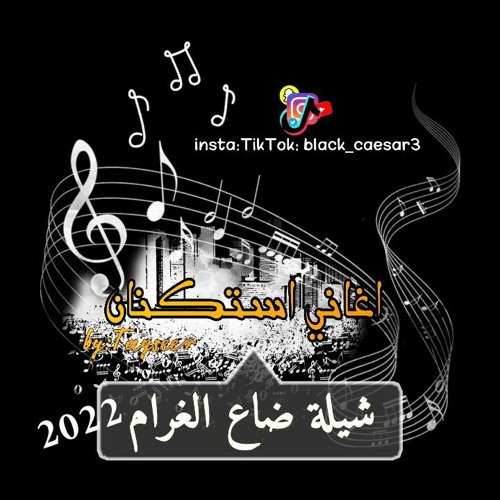 اغاني استكنان| شيلة ضاع الغرام|بطيئ|لون مميز 2022.mp3