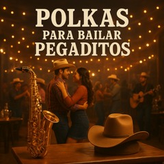 Vida Alegre (Polkas Para Bailar Pegaditos)