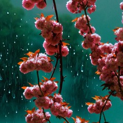 the rain is almost gone