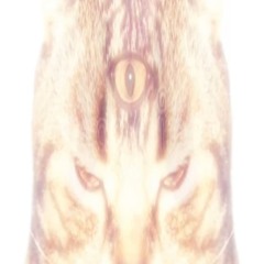 raul tipatapa ft lil till ultra rare 2020 demo