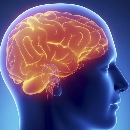 Kate Shemirani: The Frontal Lobe Of The Brain, The Crown & Phineas P. Gauge