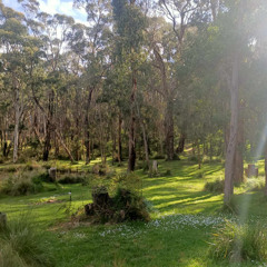 10 minutes of my back yard