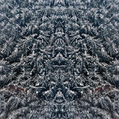 CARBON