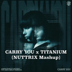 Carry You X Titanium (NUTTRIX MASHUP) **FREE DOWNLOAD CLICK BUY**