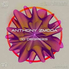 Anthony Zmoda - 110 Degrees (Original Mix)