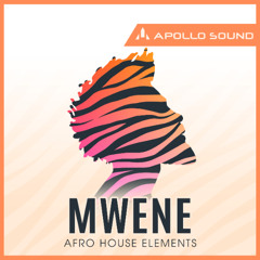 Mwene - Afro House Elements