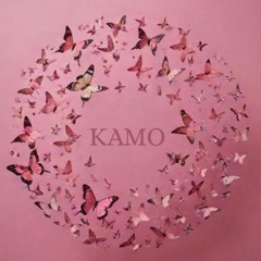 Butterfly's Dream