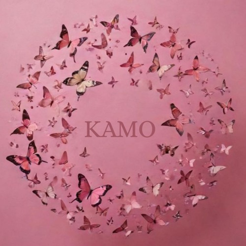 Butterfly's Dream