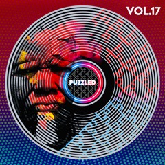 Pied Piper (Disco Police) 🇺🇸 - PUZZLED RADIO Vol.17