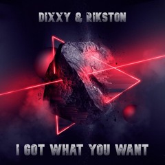 Dixxy & Rikston I Got What You Want ( Makina Version ) FREE DOWNLOAD