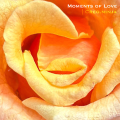 Moments of Love