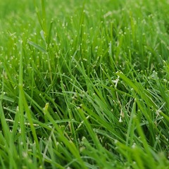 On My Own (feat. Nefera)