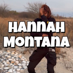 Hannah montana (rockymix)