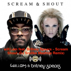will.i.am feat. Britney Spears - Scream  Shout (DJ Sruliko MashUp Remix)