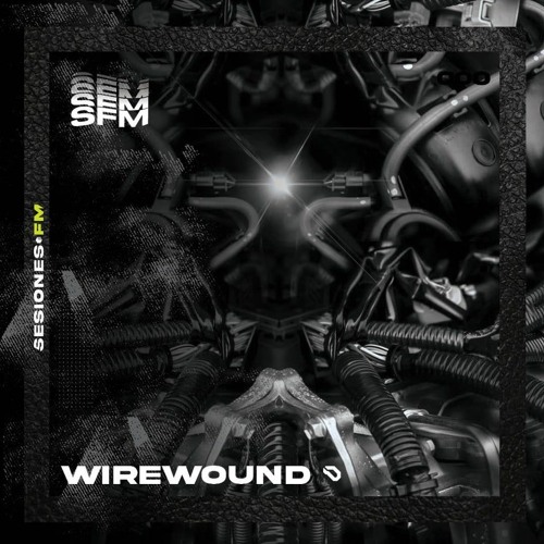 SFM000 - Wirewound