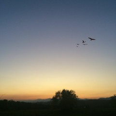 นก - เรืองฤทธิ์ บุญรอด