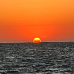 활활(DEMO)