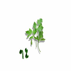 <[Parsley side quest]>