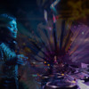 DULCE - Live @The Fan Club presents // ADAM TEN 2024 DJ mix artwork - Electronic music tracklist cover image