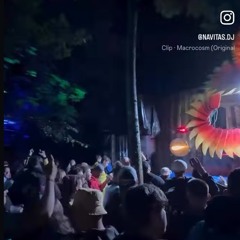 Woodstoig Festival | Zauberwald Stage 🍄🌲