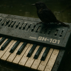 Subtone - sh