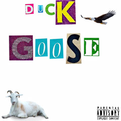 Duck Goose
