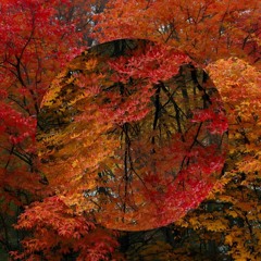 Autumn Jazzy House Mix