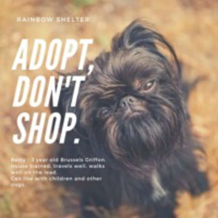 17 The Pawfect Gentleman read by 1happydaiz