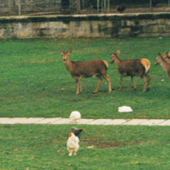 palomicaaaaaa aa aaa aaa aaa aa aaa a a a aaaaaaa, de la jotera de uxue