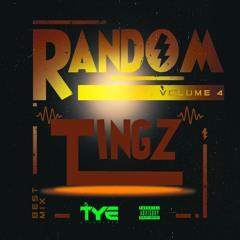 Random Tingz (Summer Explosion) - Volume 4 #everythingplay