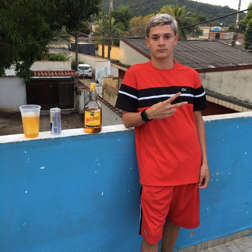 TÁ BROTANDO NO PLANTÃO PRA TIRAR FOTO COM REVÓLVER [ DJ JS DE MAUÁ ] 140BPM