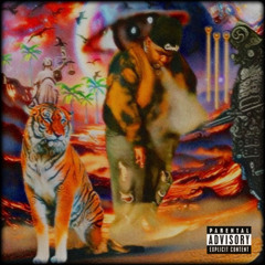 Verilumaani(prod.WAVY)