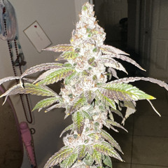 Do What You Do EQed.wav