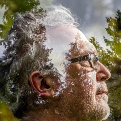 Fairytales Tells No Lies