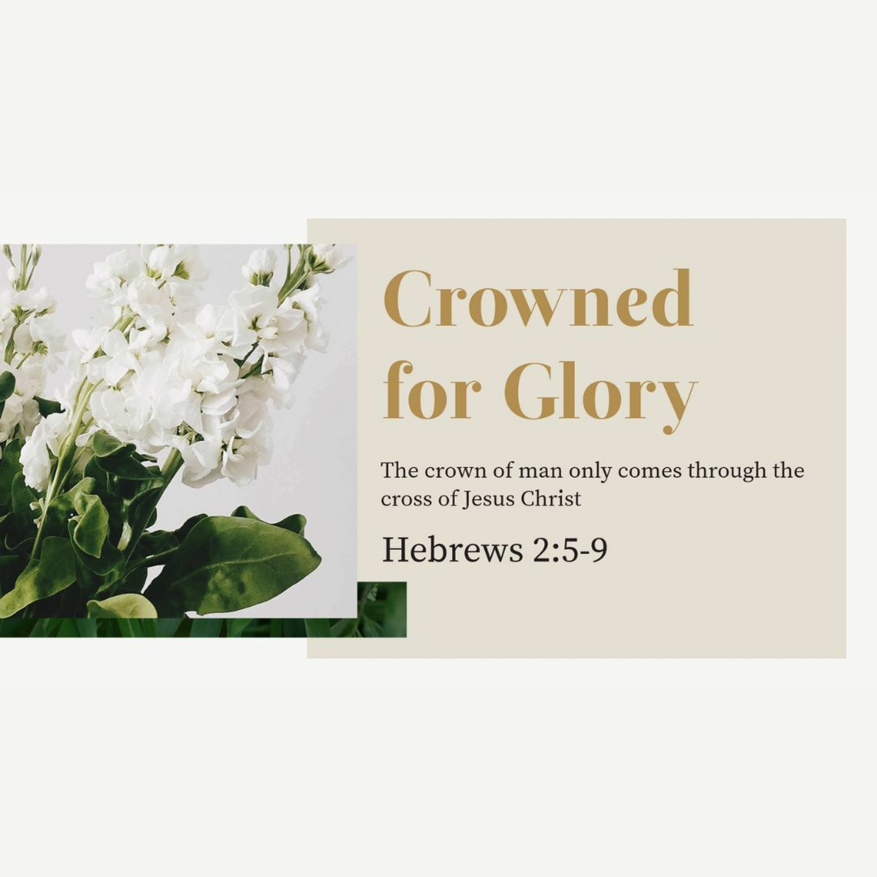 Crowned With Glory (Hebrews 2:5-9)