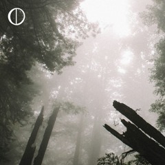 Haze