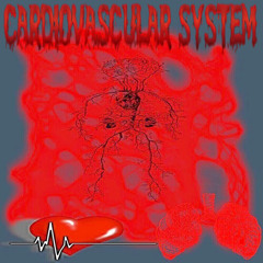 AxExHxCx - Cardio