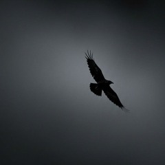 Ki Kariye - Babbu Maan debi makhsoospuri