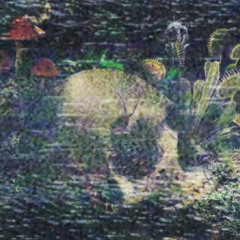 SWAMP
