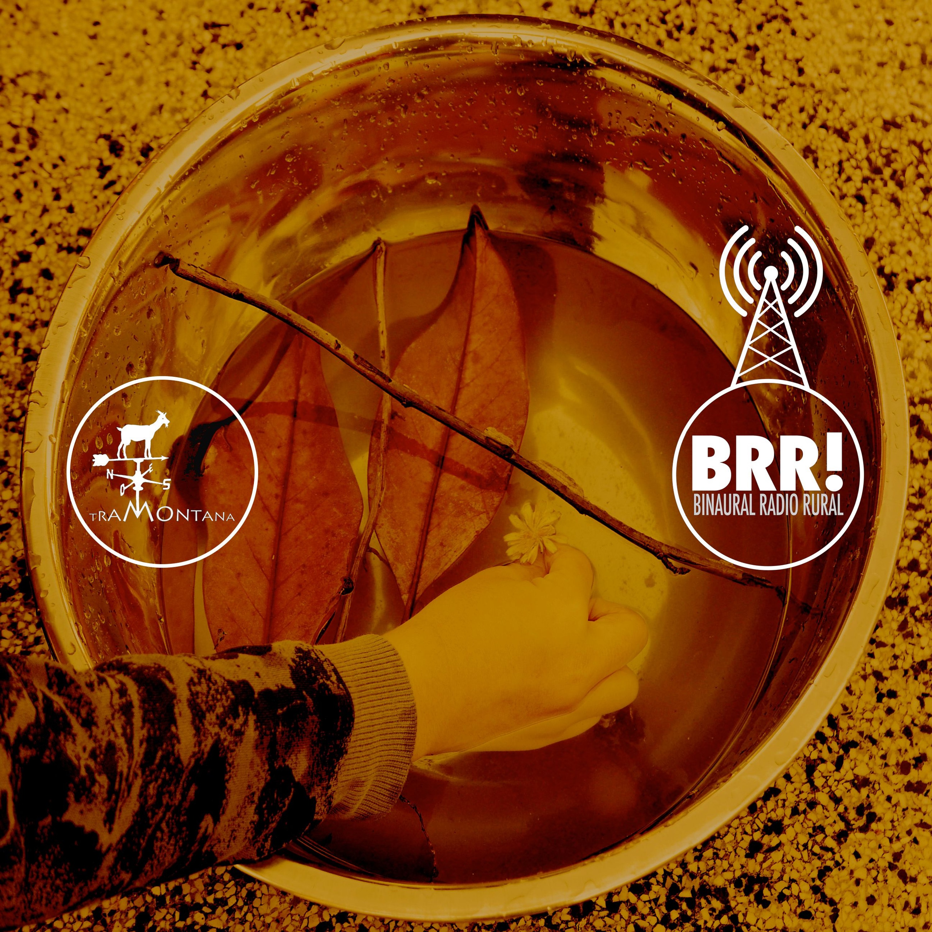 Binaural Radio Rural: A podcast around rural sounds and archives