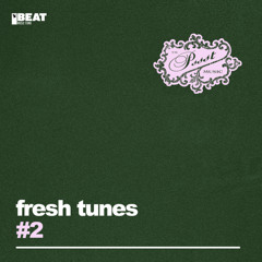Fresh Tunes - Passing By (Extended Mix)