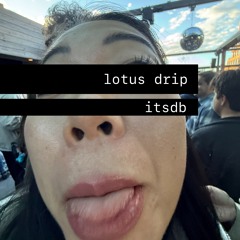 lotus drip